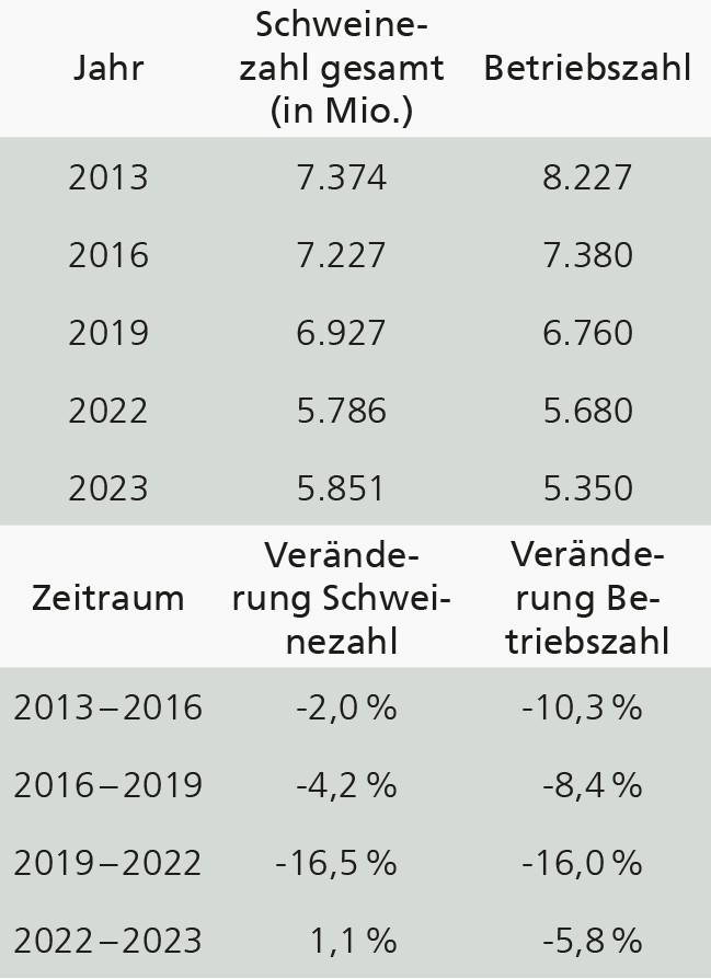 Tabelle mit Beständen und Betrieben der Schweinehaltung in NRW von 2013 bis 2023