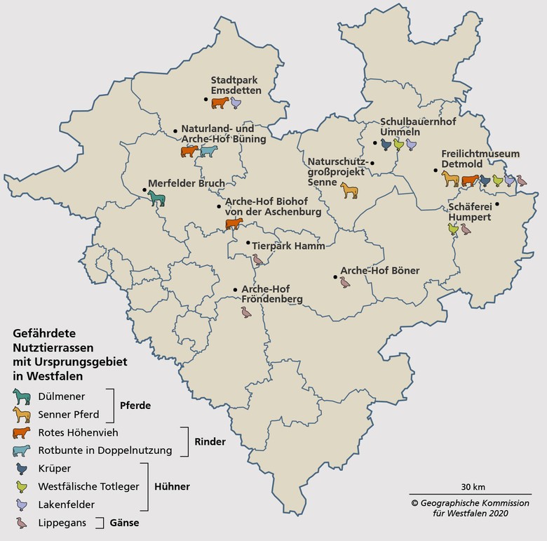 Haltungen westfälischer Nutztierrassen (Stand 2019)