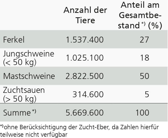 Tabelle mit Zahlen zur Schweinehaltung in NRW im Mai 2023